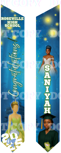 Custom Graduation Stoles – Wear Your Story with Pride
